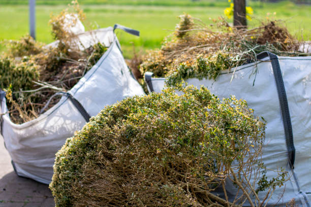 Best Yard Waste Removal  in Creve Coeur, MO